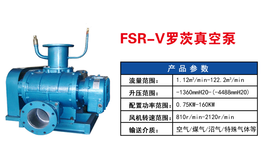 FSR-V羅茨真空泵