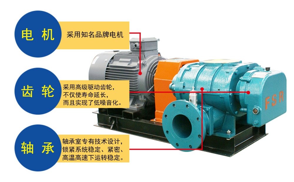 FSR直連羅茨鼓風(fēng)機