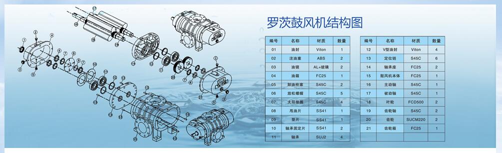 羅茨鼓風(fēng)機(jī)結(jié)構(gòu)圖.jpg