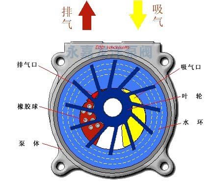 2BV型水環(huán)式真空泵的工作原理