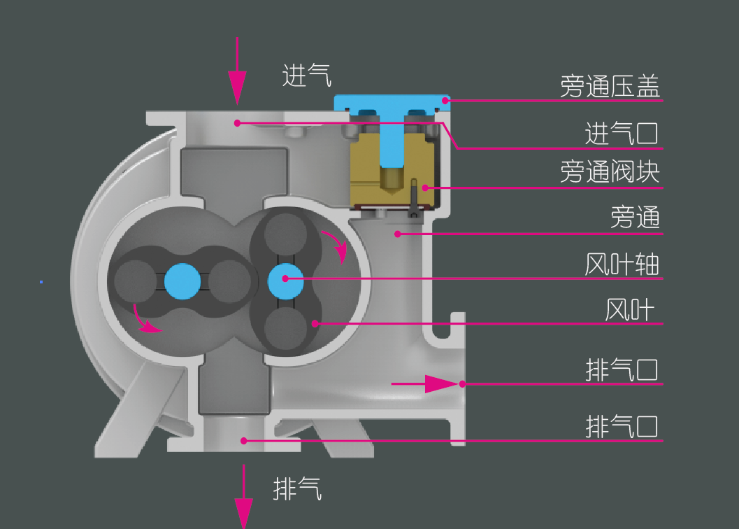 羅茨真空泵特點(diǎn)|羅茨真空泵使用|特點(diǎn)與原理