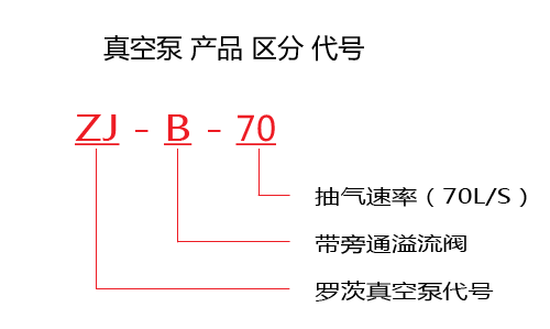 水環(huán)羅茨真空機組|JZJS水環(huán)羅茨機組|2KV羅茨真空機組|型號表示
