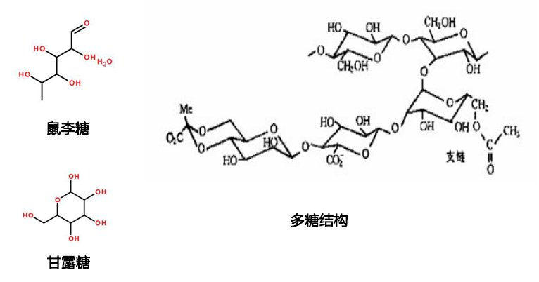 產(chǎn)品分子鏈.jpg