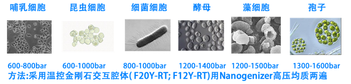 微射流均質機行業(yè)應用細胞破碎