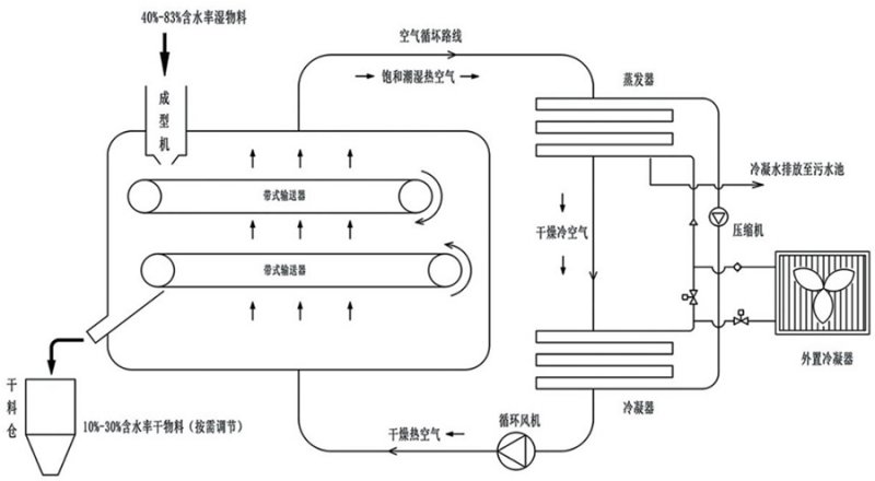 森貝爾