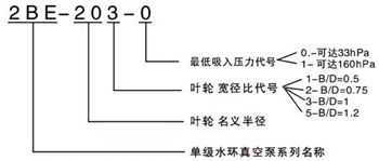 2BE水環(huán)真空泵型號意義