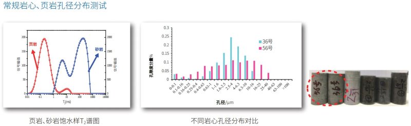 核磁共振巖心分析儀2MHz/12MHz/20MHz可選