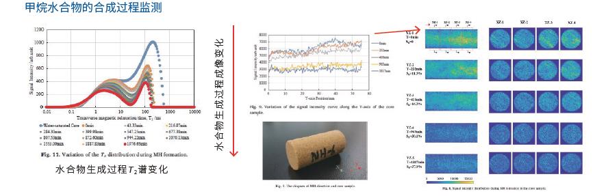 低溫高壓核磁共振成像分析儀-定制產(chǎn)品