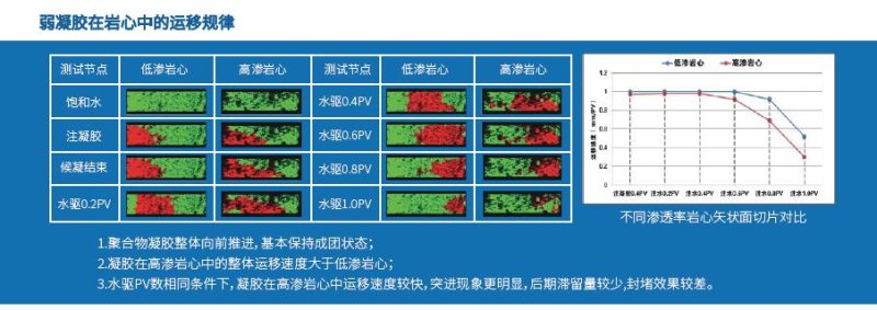 高溫高壓核磁共振成像分析儀-定制產(chǎn)品