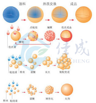 包衣流程.jpg