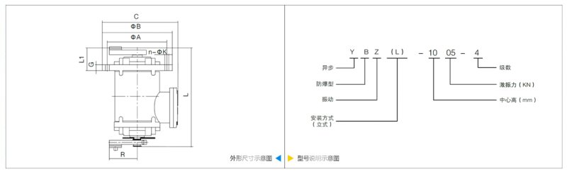 YBZL立式防爆振動電機技術(shù)圖.png