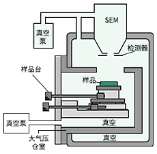 圖2：低真空觀察時(shí)