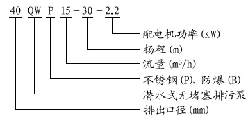 不銹鋼潛水泵型號(hào)意義